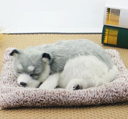 Собака на торпеду лежащая на коврике серо-белая