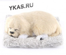 Собака на торпеду лежащая на коврике бежево-белая
