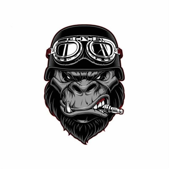 Наклейка Обезьяна в шлеме  16*18см