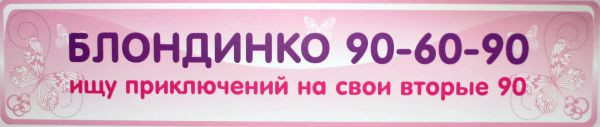 Прикольный номерной знак  БЛОНДИНКО 90-60-90 / ПОДРУЖКИ НЕВЕСТЫ
