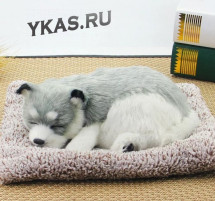 Собака на торпеду лежащая на коврике серо-белая