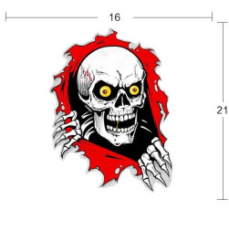 Наклейка  Череп  16x21см  №19  цветной