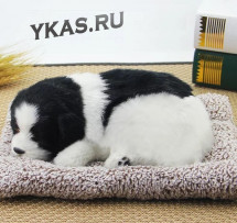 Собака на торпеду лежащая на коврике черно-белая