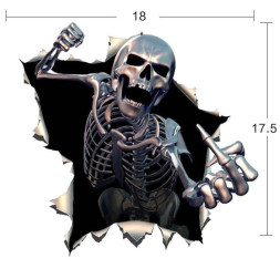 Наклейка  Череп  18x17,5см  №17  цветной