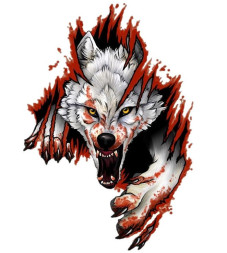 Наклейка  ВОЛК полноцветная  11x15см