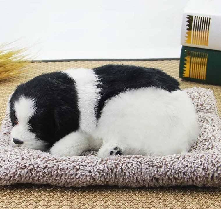 Собака на торпеду лежащая на коврике черно-белая