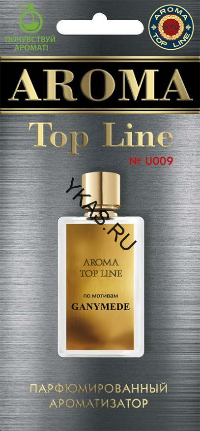 Осв.возд.  AROMA  Topline  Унисекс №U009   Ganymede