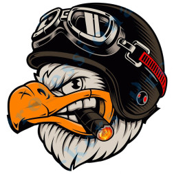 Наклейка "Ястреб в очках №1"   (12,5*12,5см)