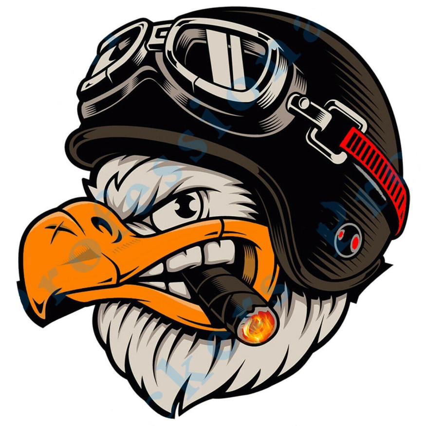 Наклейка "Ястреб в очках №1"   (12,5*12,5см)