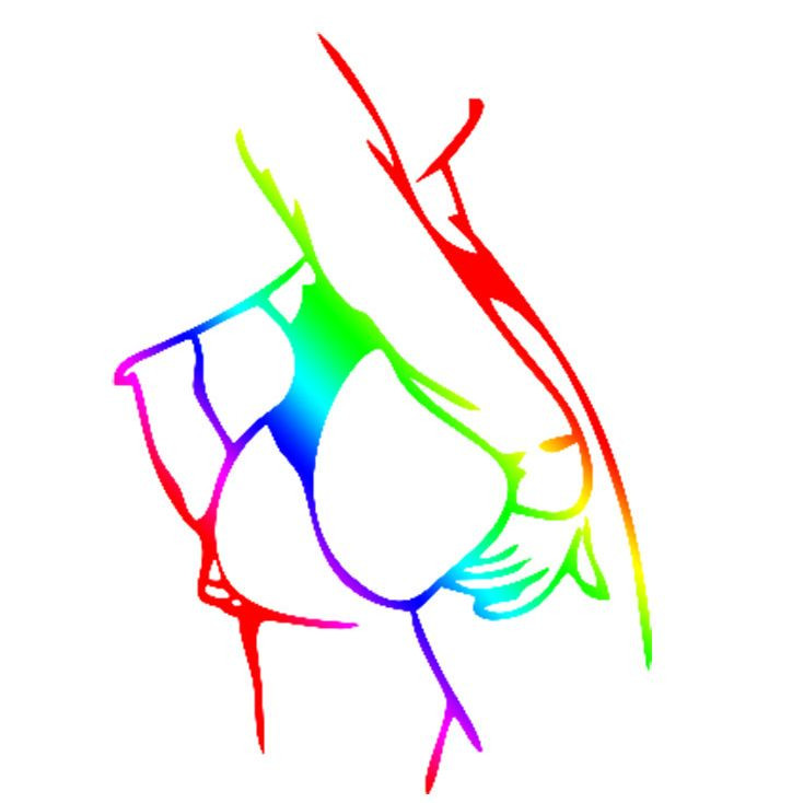 Наклейка  Попа  12x17см. Разноцветный