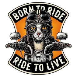 Наклейка "Кот мотоцикл"  8х10см