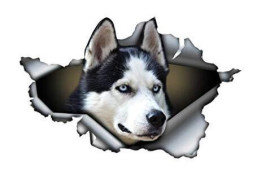 Наклейка Собака - №13 (13*8см)