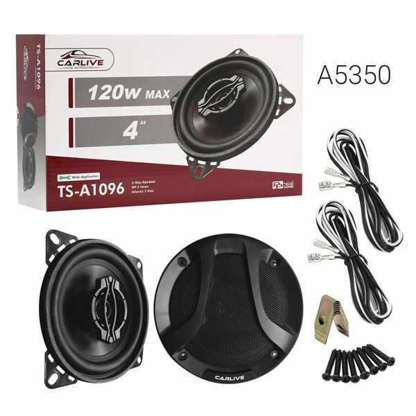 Автомобильные колонки  10"  Carlive TS-A1096